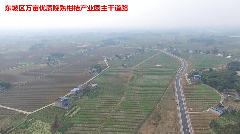 公路设计类-东坡区万亩优质晚熟柑桔标准园第一期主干道路桥梁和涵洞施工图设计、预算编制